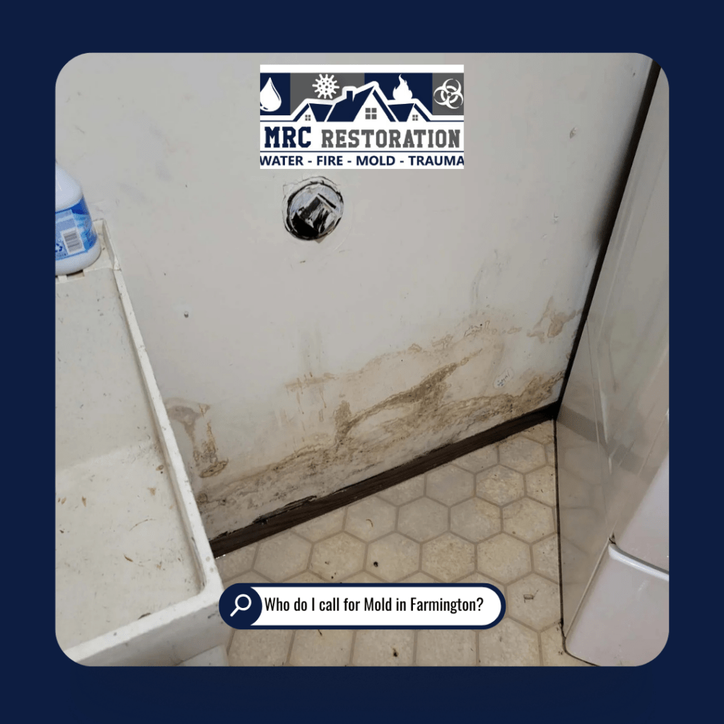 Image of mold growth on a wall in a laundry room in Farmington Missouri showcasing the need for professional mold remediation and removal services by MRC Restoration