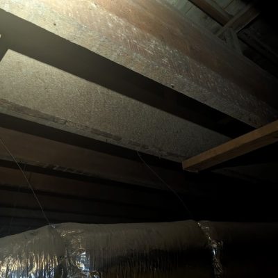 Attic mold on beams requiring immediate attic mold remediation by MRC Restoration professionals.