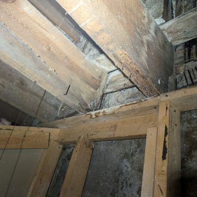 Attic mold issue identified and treated by MRC Restoration’s certified mold specialists.