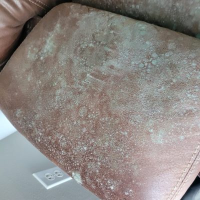 Extensive mold growth on a leather chair, requiring professional mold remediation services to restore and prevent further damage.