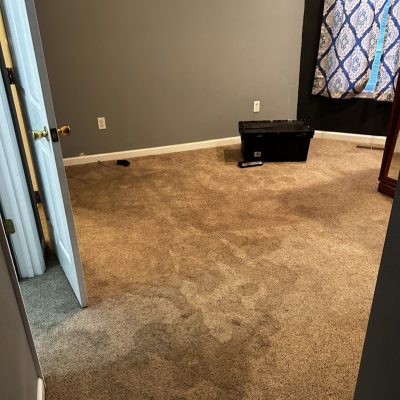 Water-damaged carpet in a basement post-flooding.