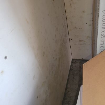 Mold growth on the surface behind a wall panel, highlighting the need for mold remediation services to address hidden mold.