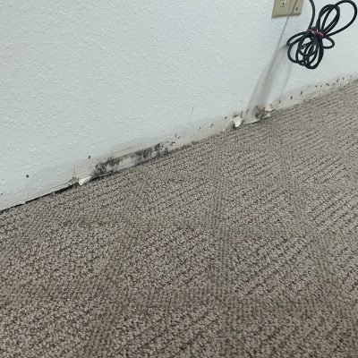 Mold on baseboards identified and resolved through mold inspection and testing.