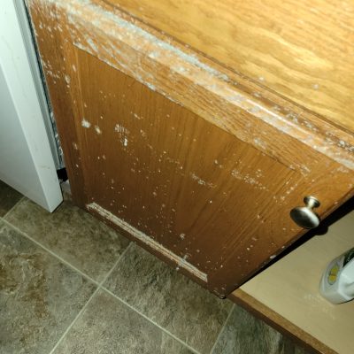 Mold accumulation on a wooden cabinet door, showing the importance of mold remediation services for water-damaged areas.