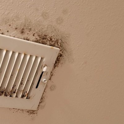 Mold growth surrounding an air vent on a ceiling, requiring professional mold remediation services to prevent further damage.